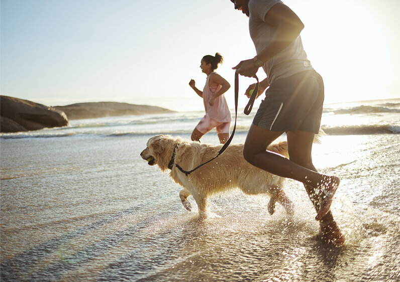 Palms & Paws, LLC