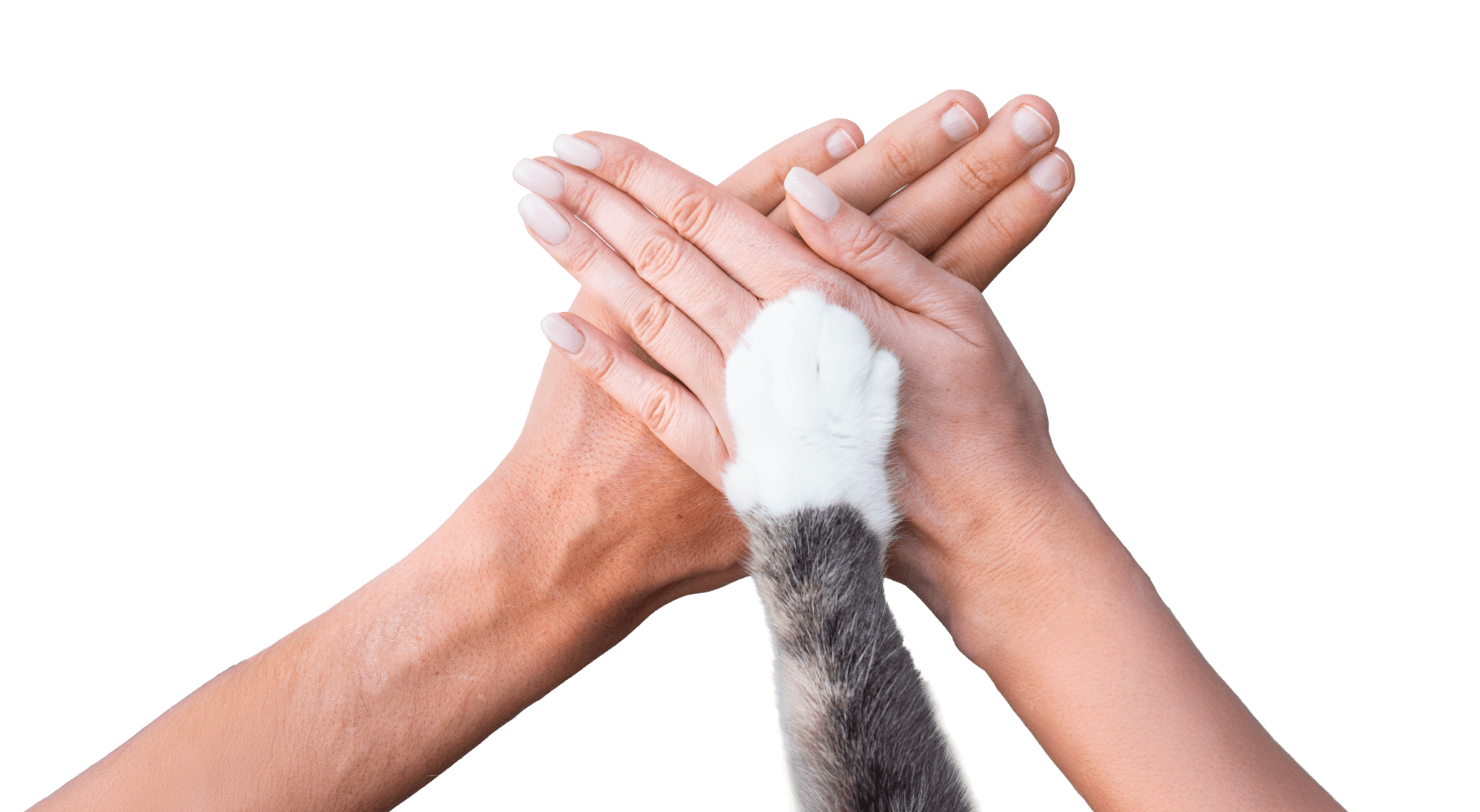 A community where people and pets flourish