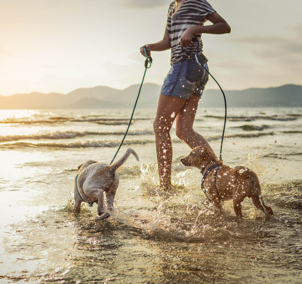 Palms & Paws, LLC