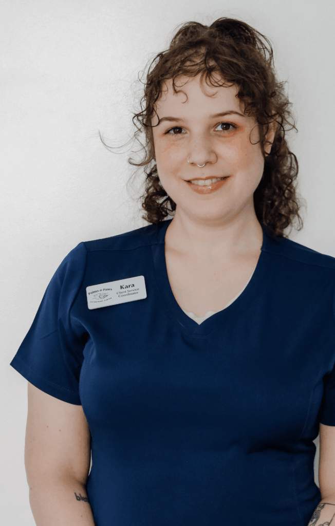 Kara Marceda, Palms & Paws