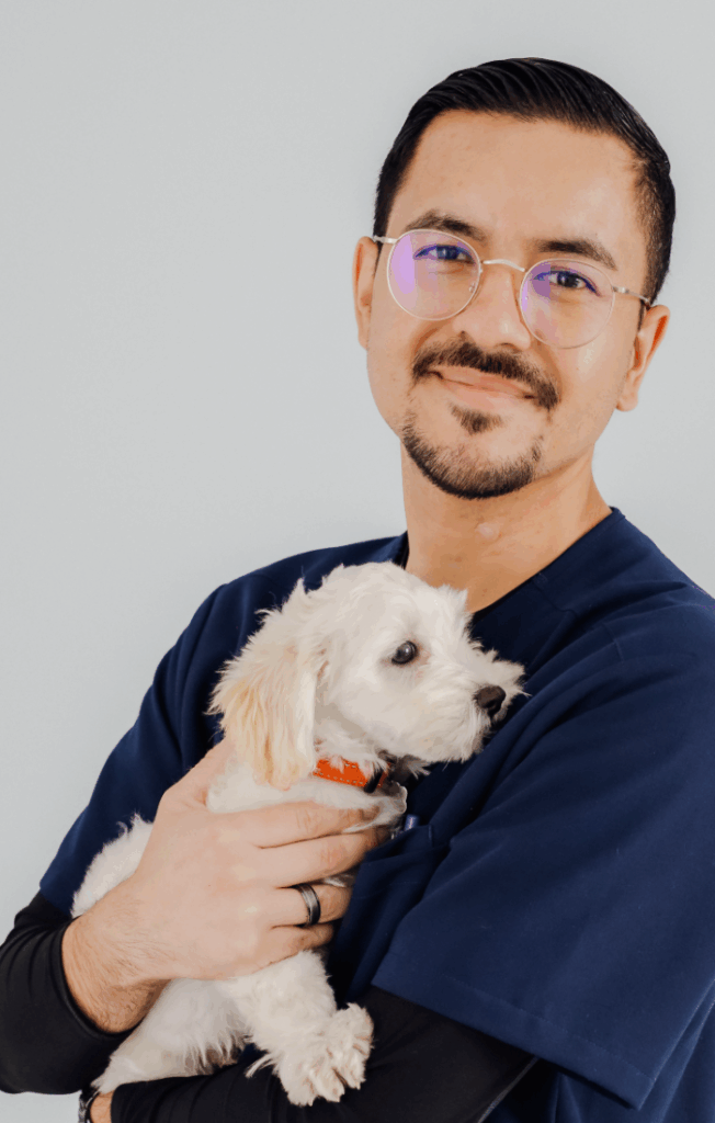 Luis Solis, Palms & Paws