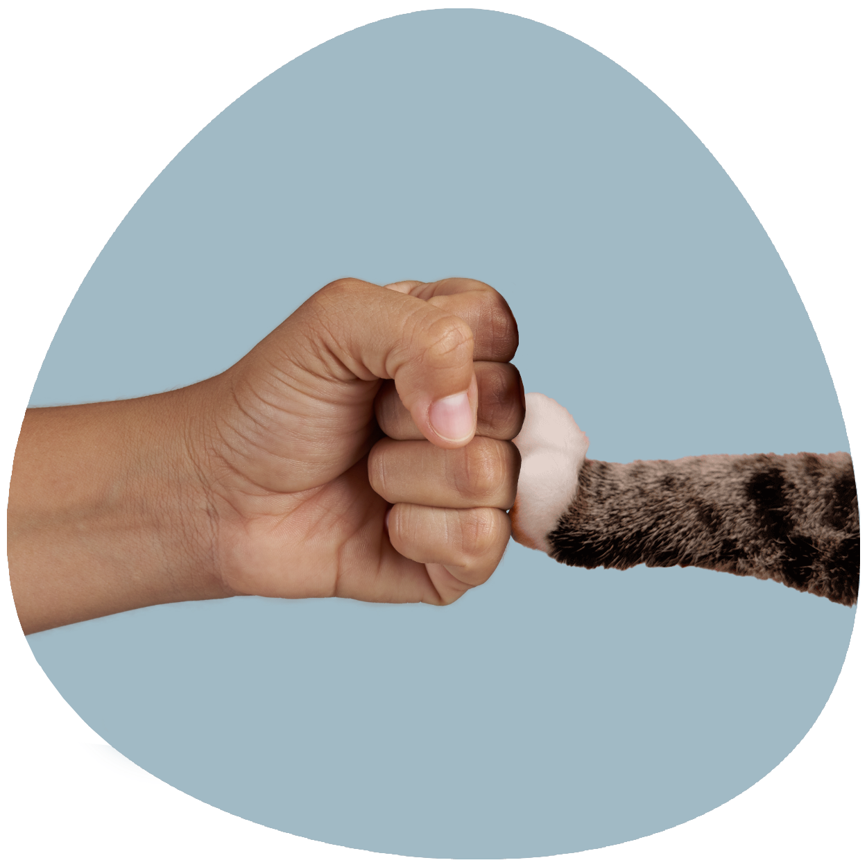 Palms & Paws Community