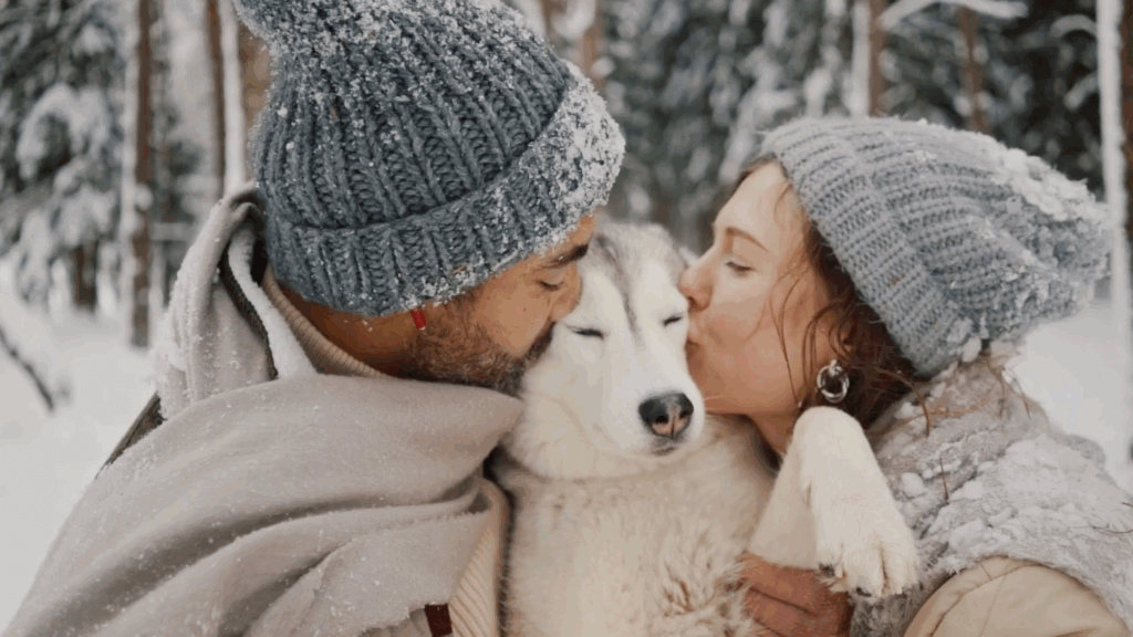 Palms & Paws Plus Gift