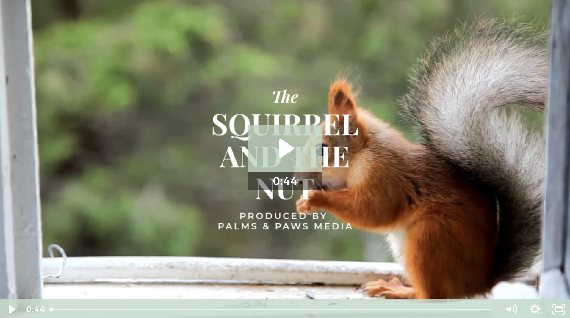 The Squirrel & The Nut