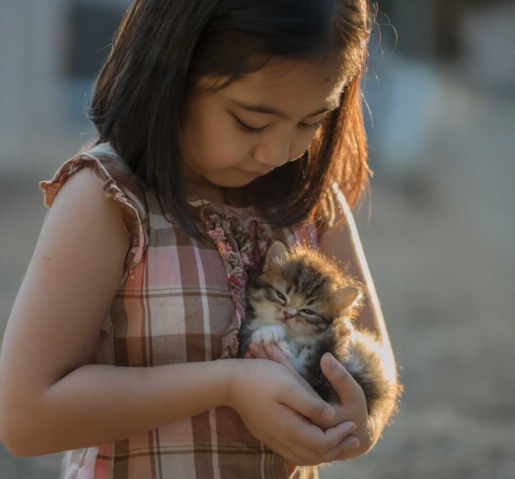 Little girl with kitten, Palms & Paws