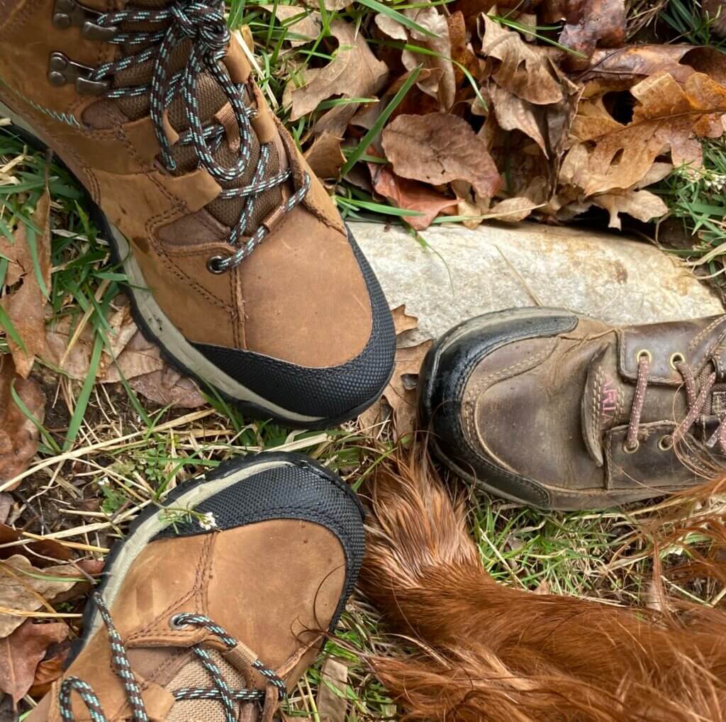 Palms & Paws PLUS members