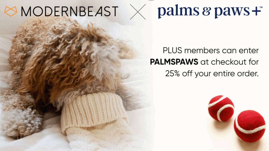 MODERNBEAST x Palms & Paws PLUS Collaboration