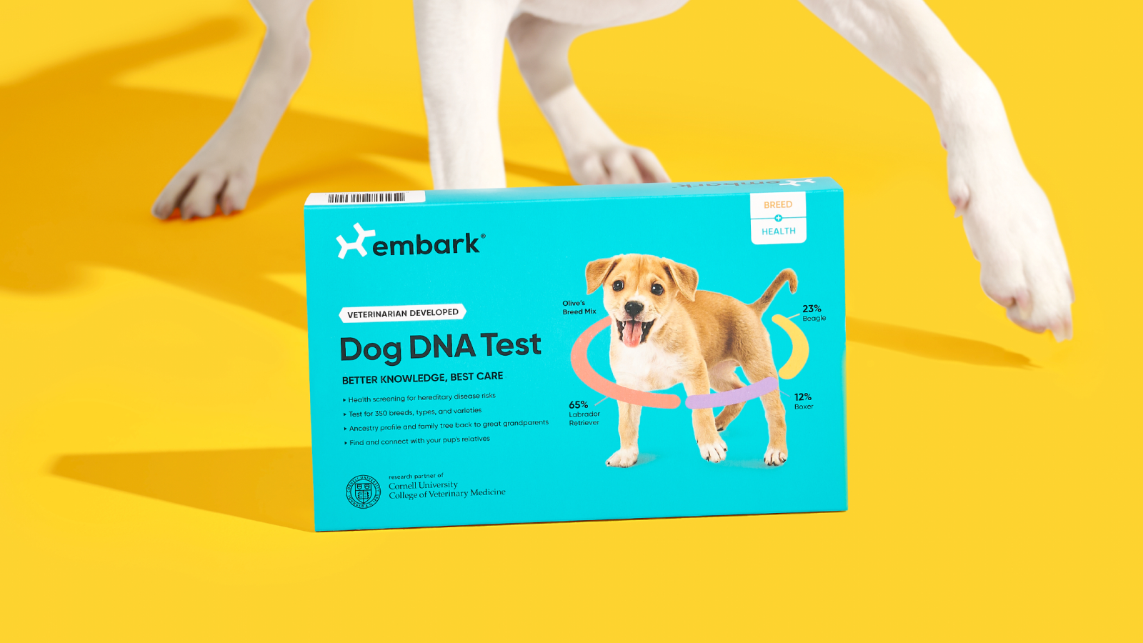 Embark DNA Test