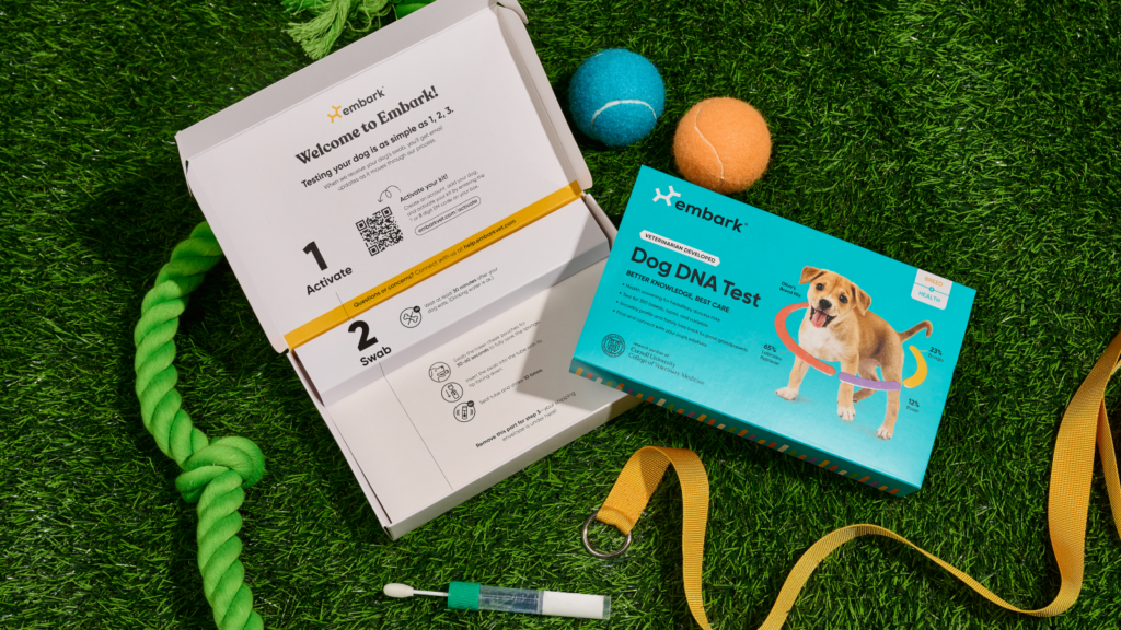 Embark DNA Testing for Dogs