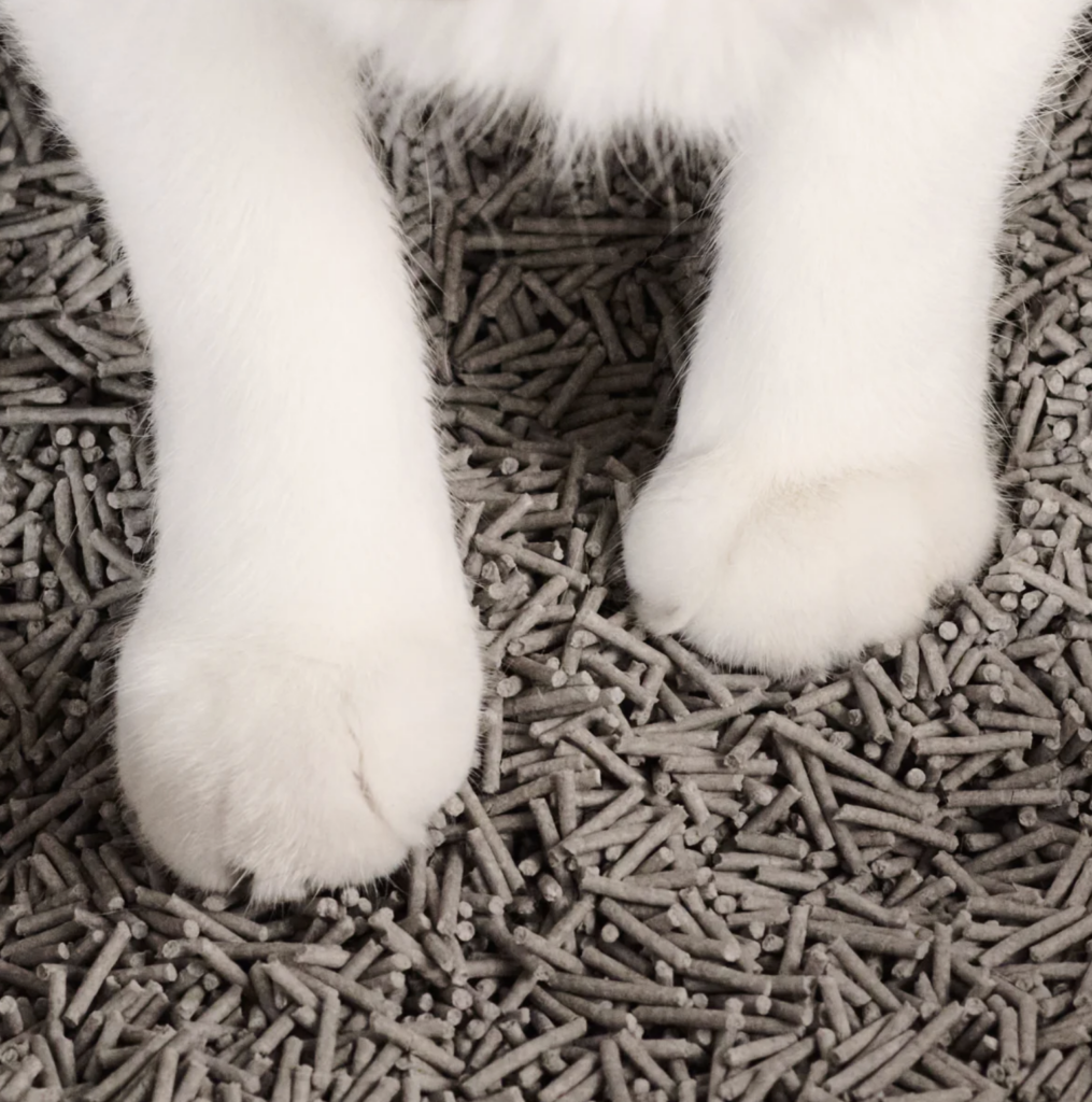 Tuft & Paw